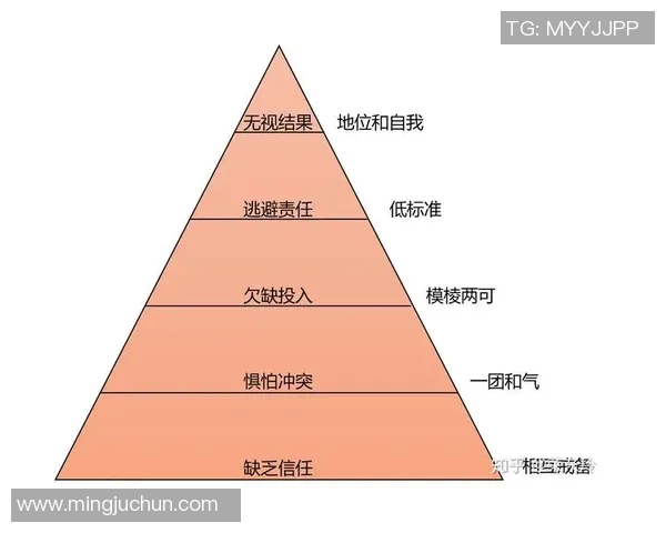 广州羽毛球队团队协作的成功经验与挑战分析探讨