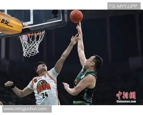 广厦对阵辽宁2017赛季精彩直播回顾与分析