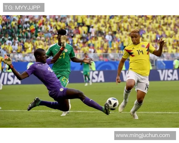 美国与巴西足球对决精彩回顾及比赛结果分析