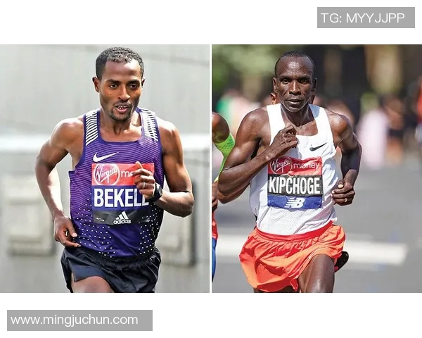 小保加与布拉希尔的巅峰对决谁能笑到最后揭晓战斗真相