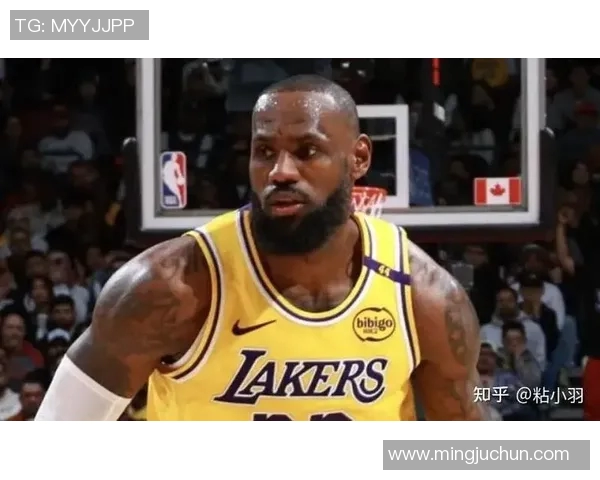 湖人对决猛龙精彩直播回顾及赛后分析全方位解读