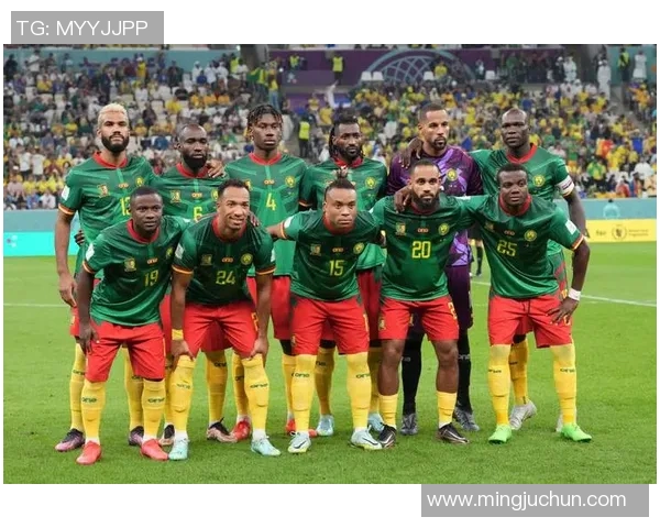 非洲杯激战喀麦隆对决贝宁精彩赛事回顾与分析 非洲杯激战喀麦隆对决贝宁精彩赛事回顾与分析