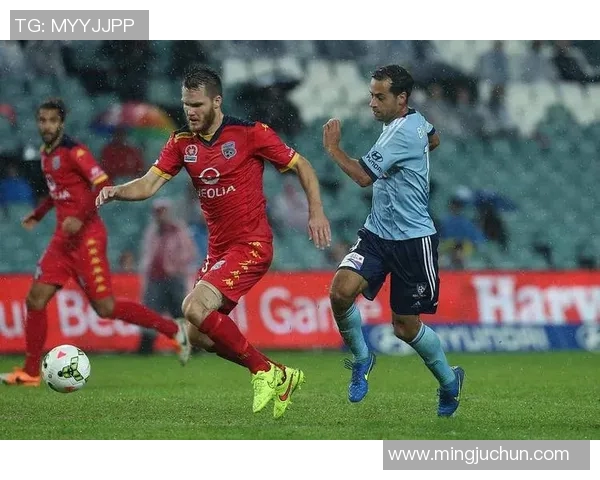 2019年珀斯对阵悉尼的比赛比分预测及分析展望