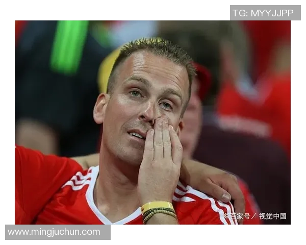 威尔士对阿塞拜疆精彩比赛视频回顾与分析尽在这里