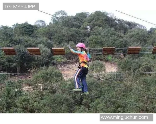 广州极限运动队心理素质探讨：挑战自我与团队协作的心路历程MBA