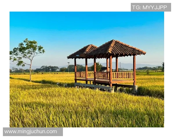 探索阿拉巴的文化魅力与自然风光，感受多元融合的独特魅力与人文底蕴