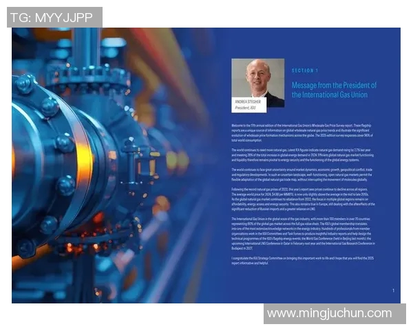 数据分析揭示LNG技术表现的优势与挑战及未来发展趋势