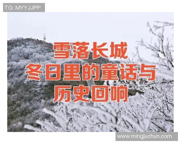 苏维与陆军的较量：历史的回响与未来的展望