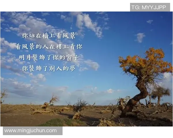 篮球明星那背后的故事与奋斗历程揭示他们成功的秘密与人生哲学