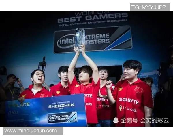 独家解析：WE战队心理素质对比及其对比赛表现的影响分析